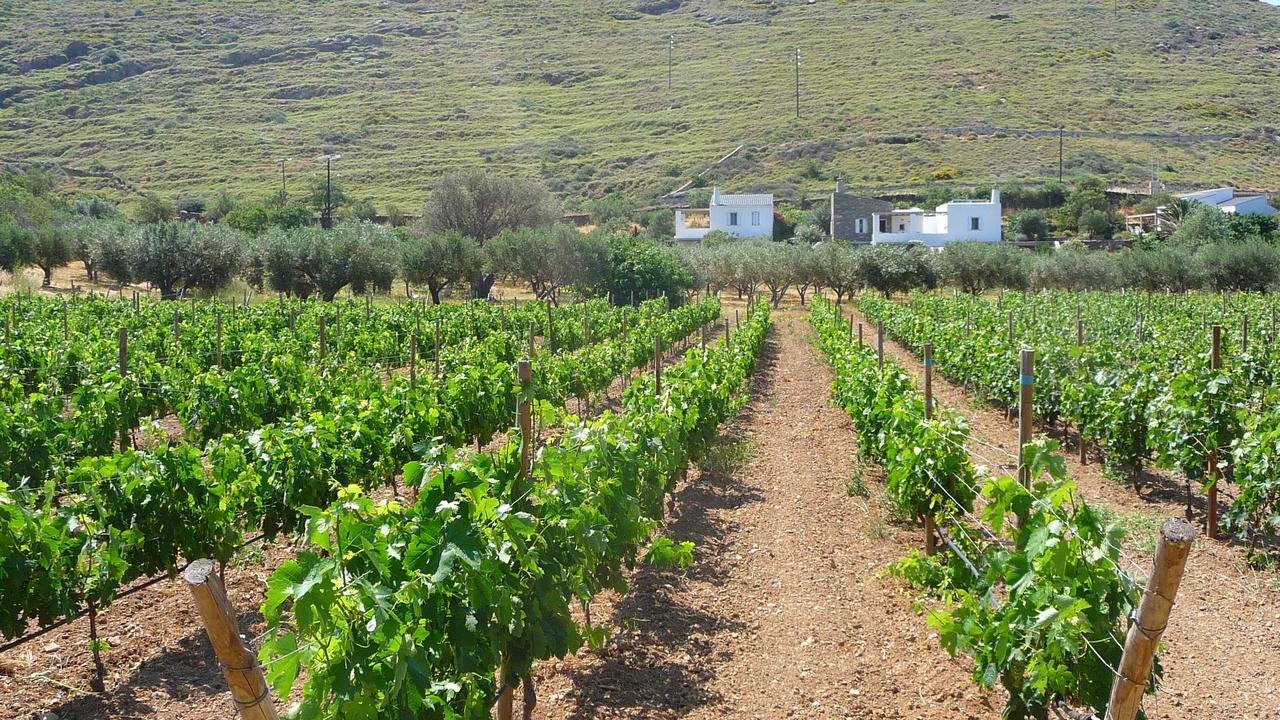 Vila Red Tractor Farm Korissia  Exteriér fotografie